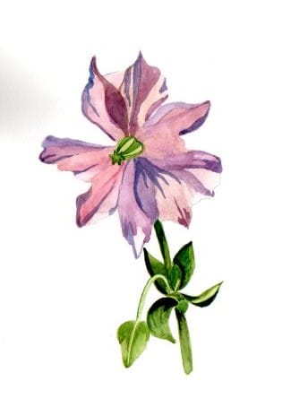 Blumen A-Z - image 8 - student project