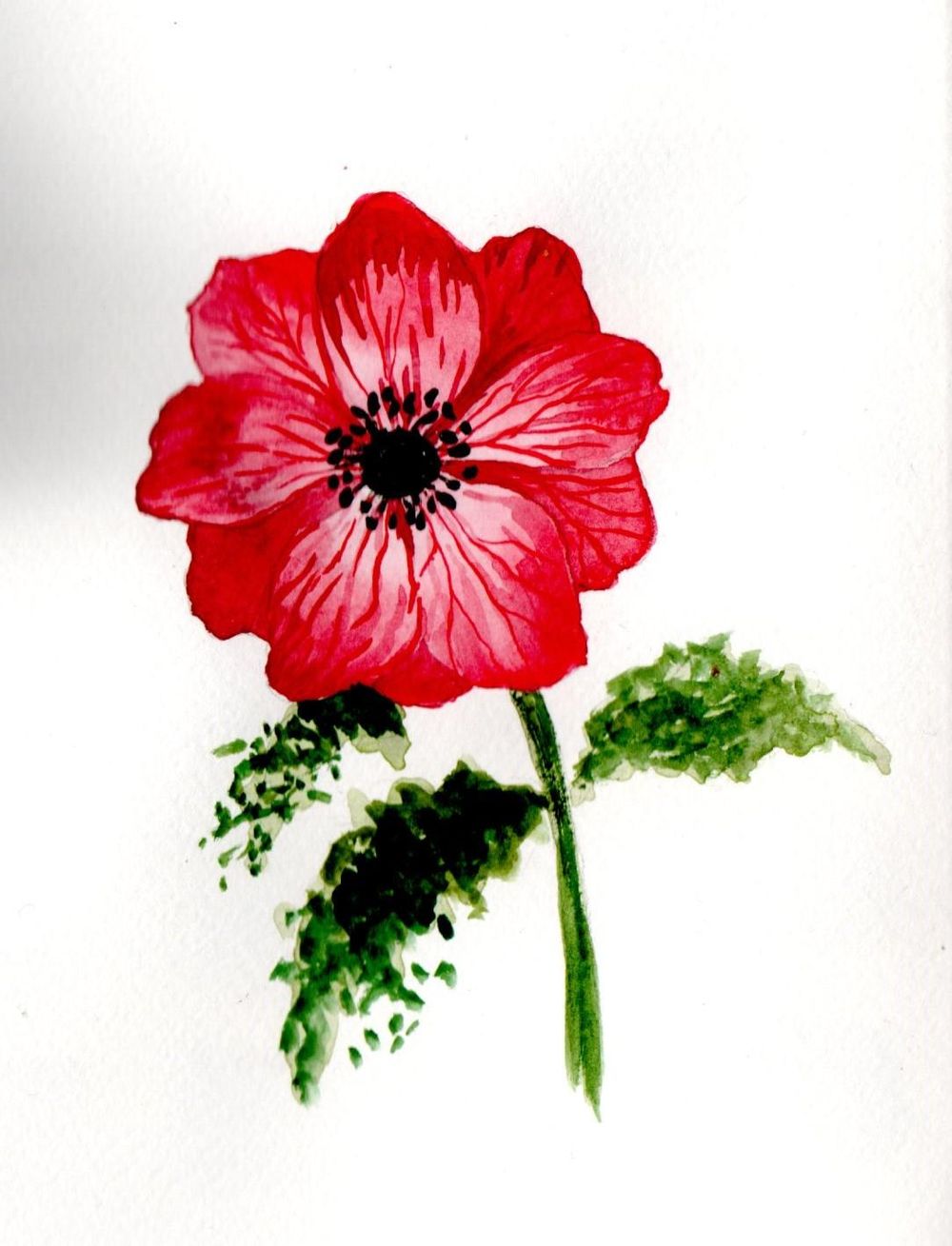 Blumen A-Z - image 21 - student project