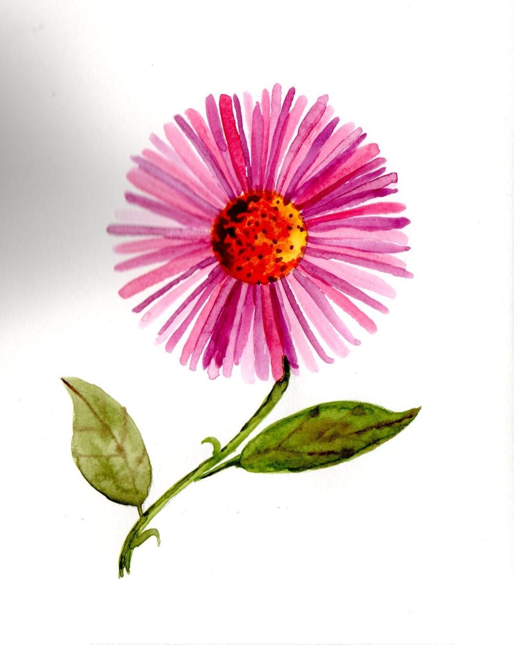 Blumen A-Z - image 17 - student project
