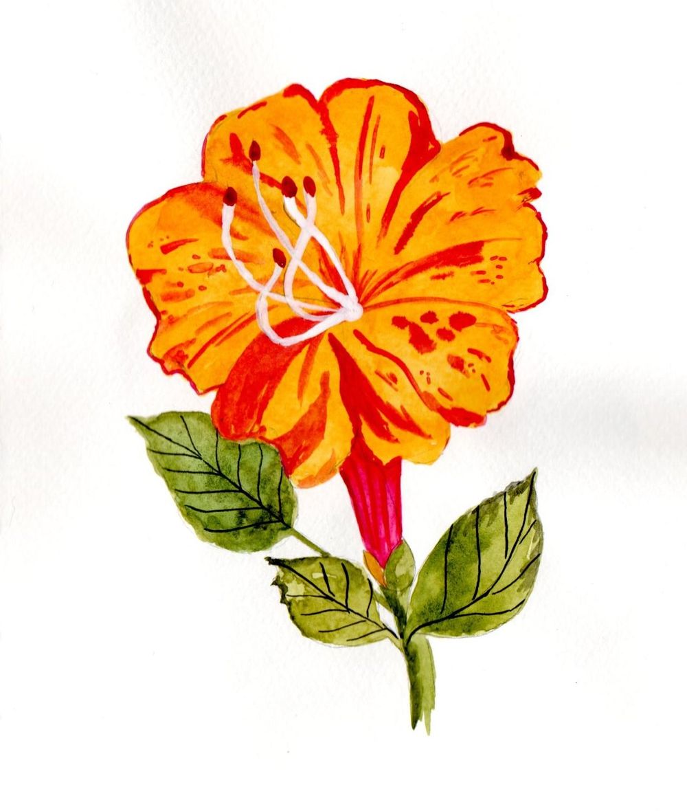 Blumen A-Z - image 16 - student project