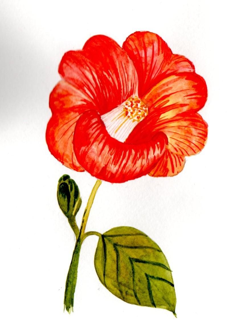 Blumen A-Z - image 19 - student project