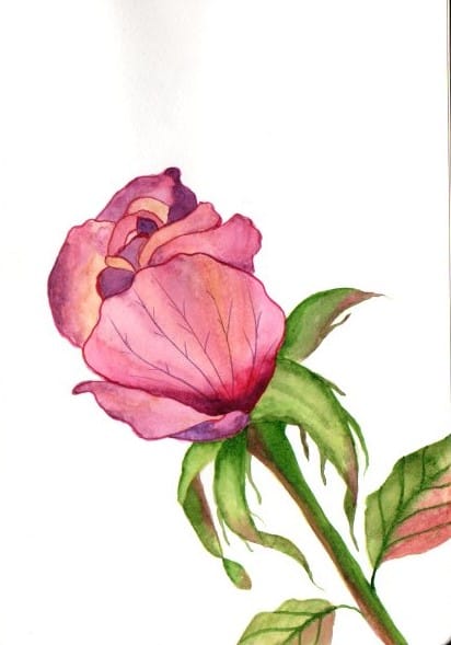 Blumen A-Z - image 3 - student project