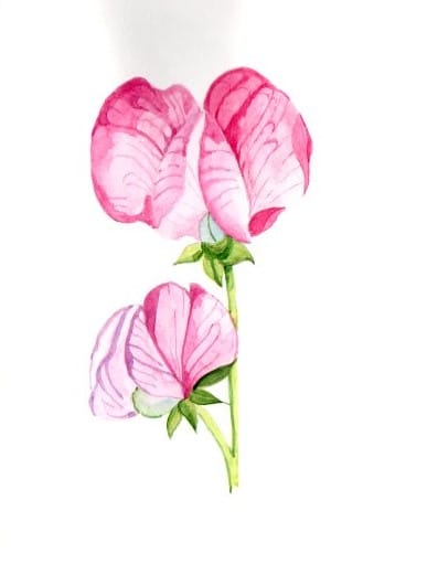 Blumen A-Z - image 9 - student project