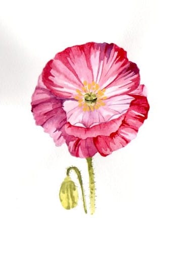 Blumen A-Z - image 12 - student project