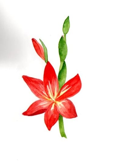Blumen A-Z - image 10 - student project