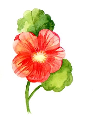 Blumen A-Z - image 7 - student project