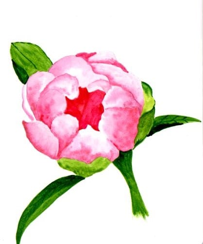 Blumen A-Z - image 5 - student project