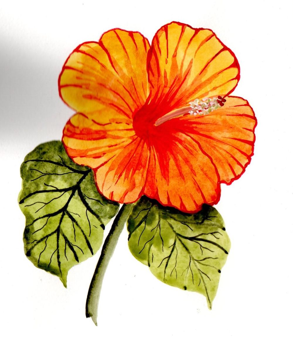 Blumen A-Z - image 15 - student project