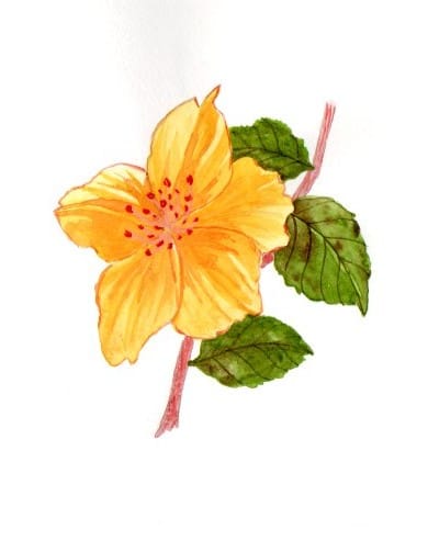 Blumen A-Z - image 11 - student project