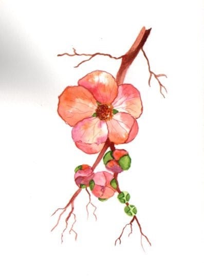 Blumen A-Z - image 4 - student project