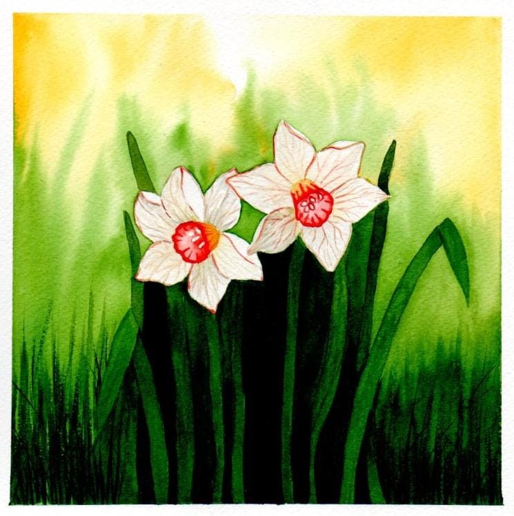 Blumen A-Z - image 13 - student project