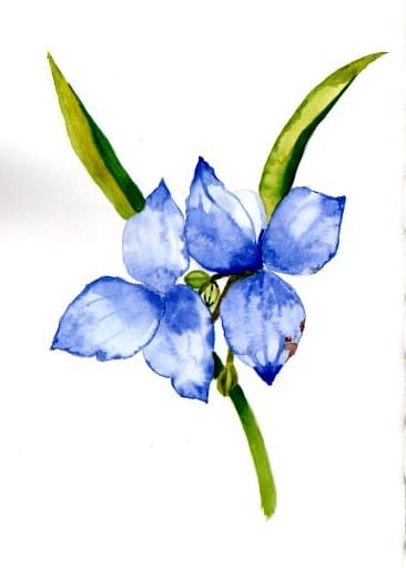 Blumen A-Z - image 6 - student project