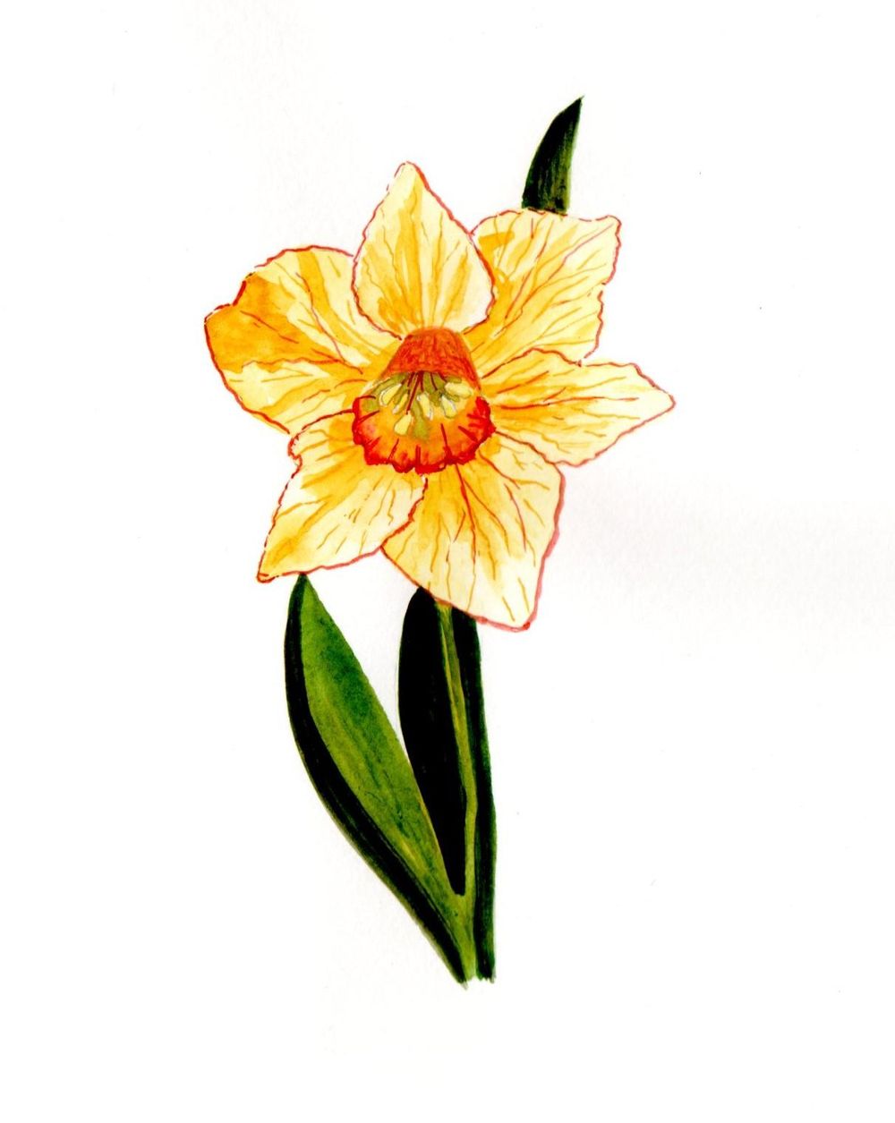 Blumen A-Z - image 18 - student project