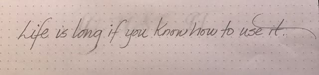 Life is long if you know how to use it - Day 1 thru 7 - image 4 - student project