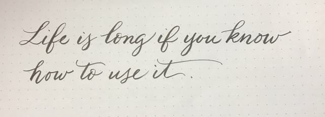 Life is long if you know how to use it - Day 1 thru 7 - image 3 - student project