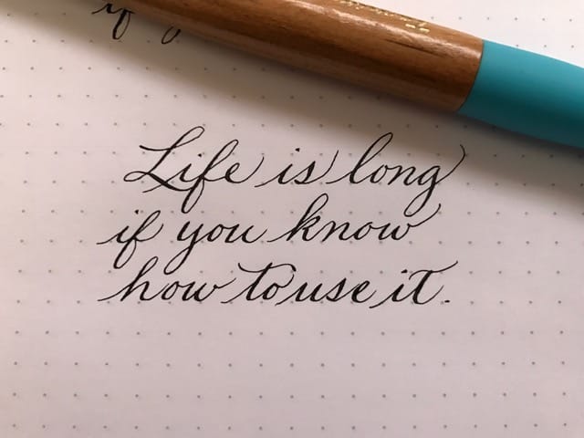 Life is long if you know how to use it - Day 1 thru 7 - image 9 - student project