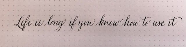 Life is long if you know how to use it - Day 1 thru 7 - image 10 - student project