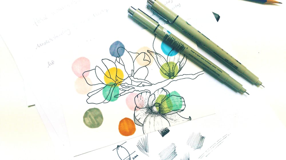 Magnolia Flower - image 2 - student project