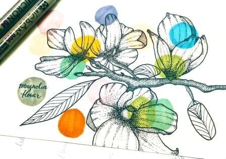 Magnolia Flower - image 4 - student project