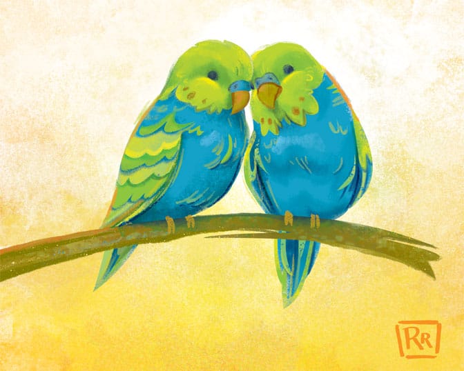 Budgie Love - image 3 - student project