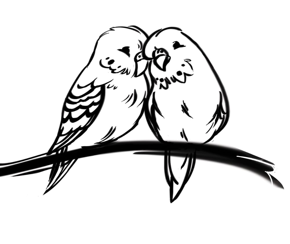 Budgie Love - image 2 - student project