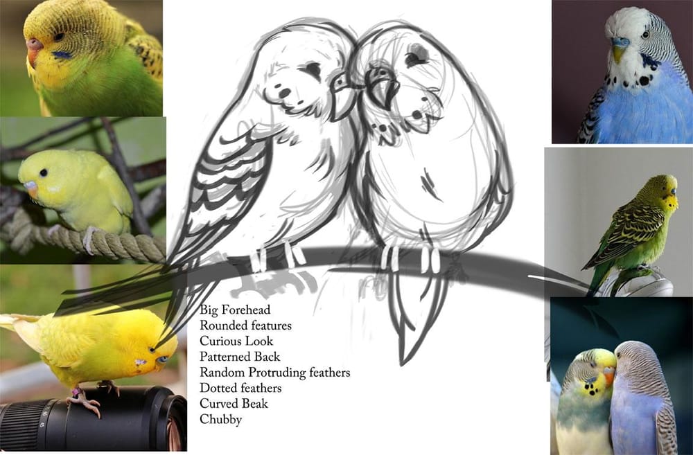 Budgie Love - image 1 - student project