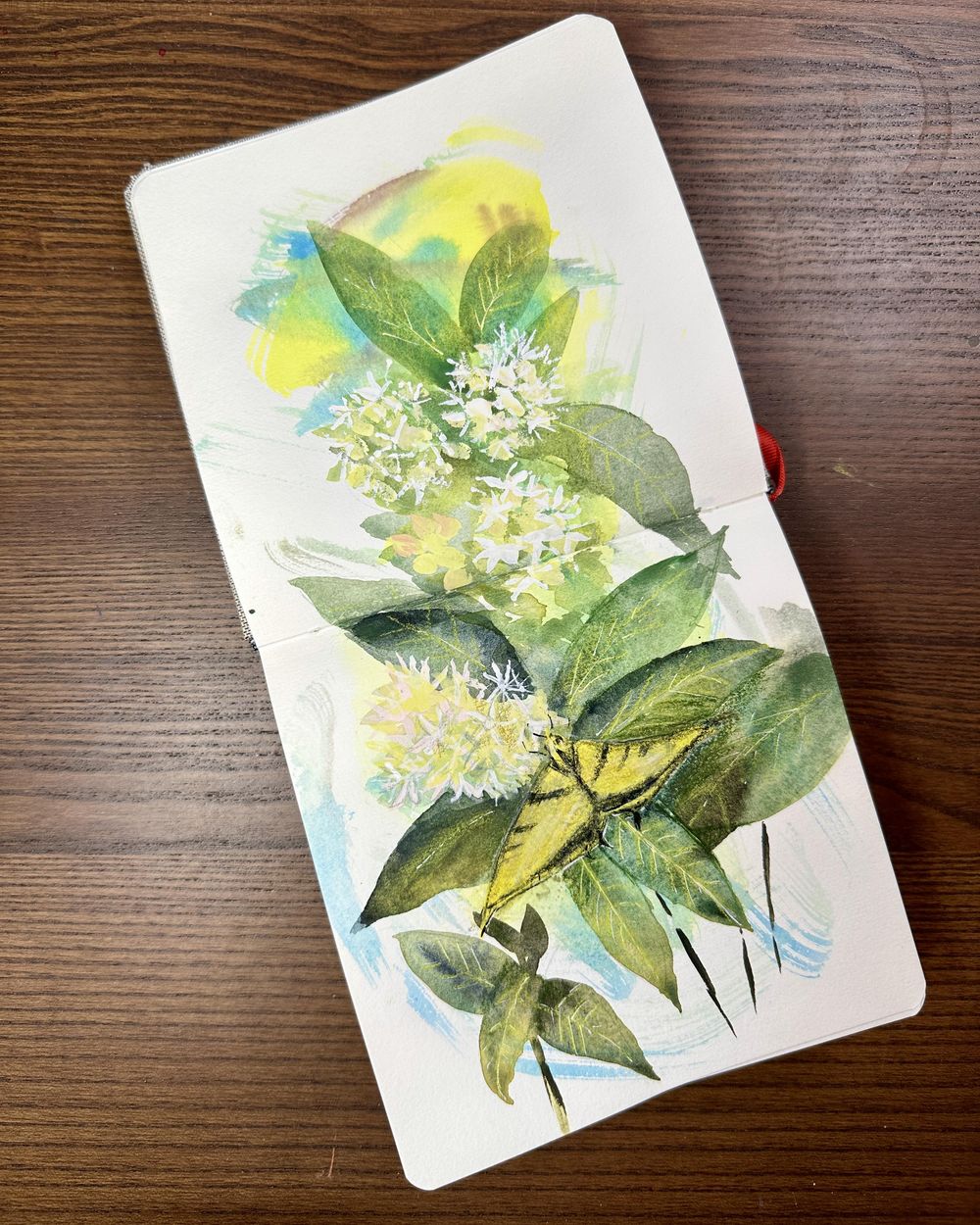 Butterfly and milkweed - image 2 - student project