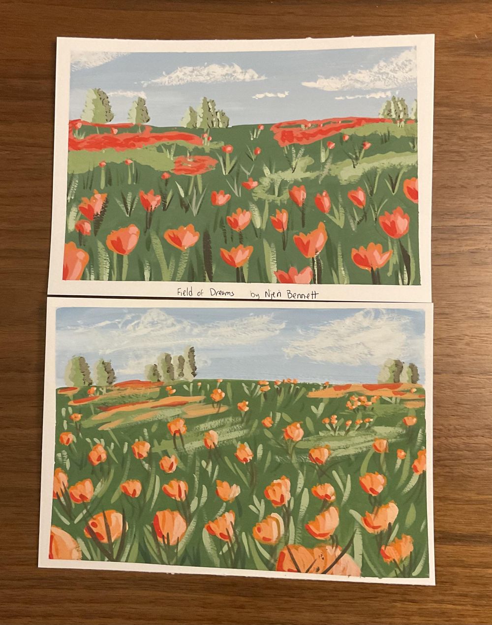Field of Dreams - image 1 - student project