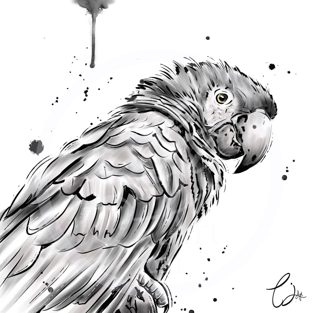 Inky parrot - image 1 - student project