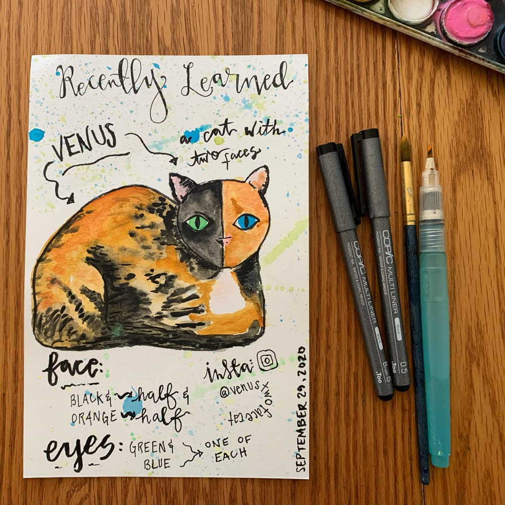 Giving Yourself Permission and other updates. - image 7 - student project
