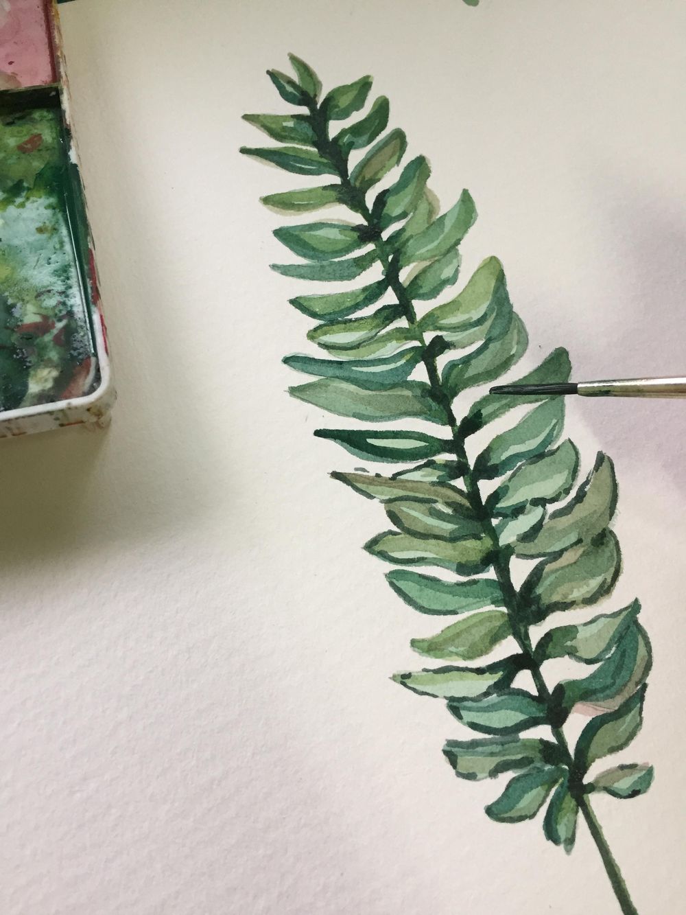 Fern - image 2 - student project