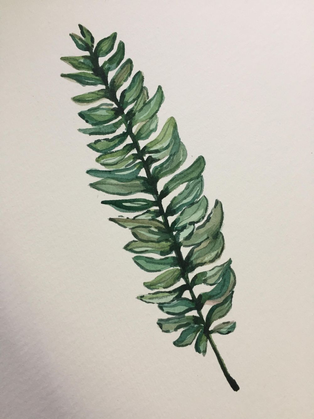Fern - image 3 - student project