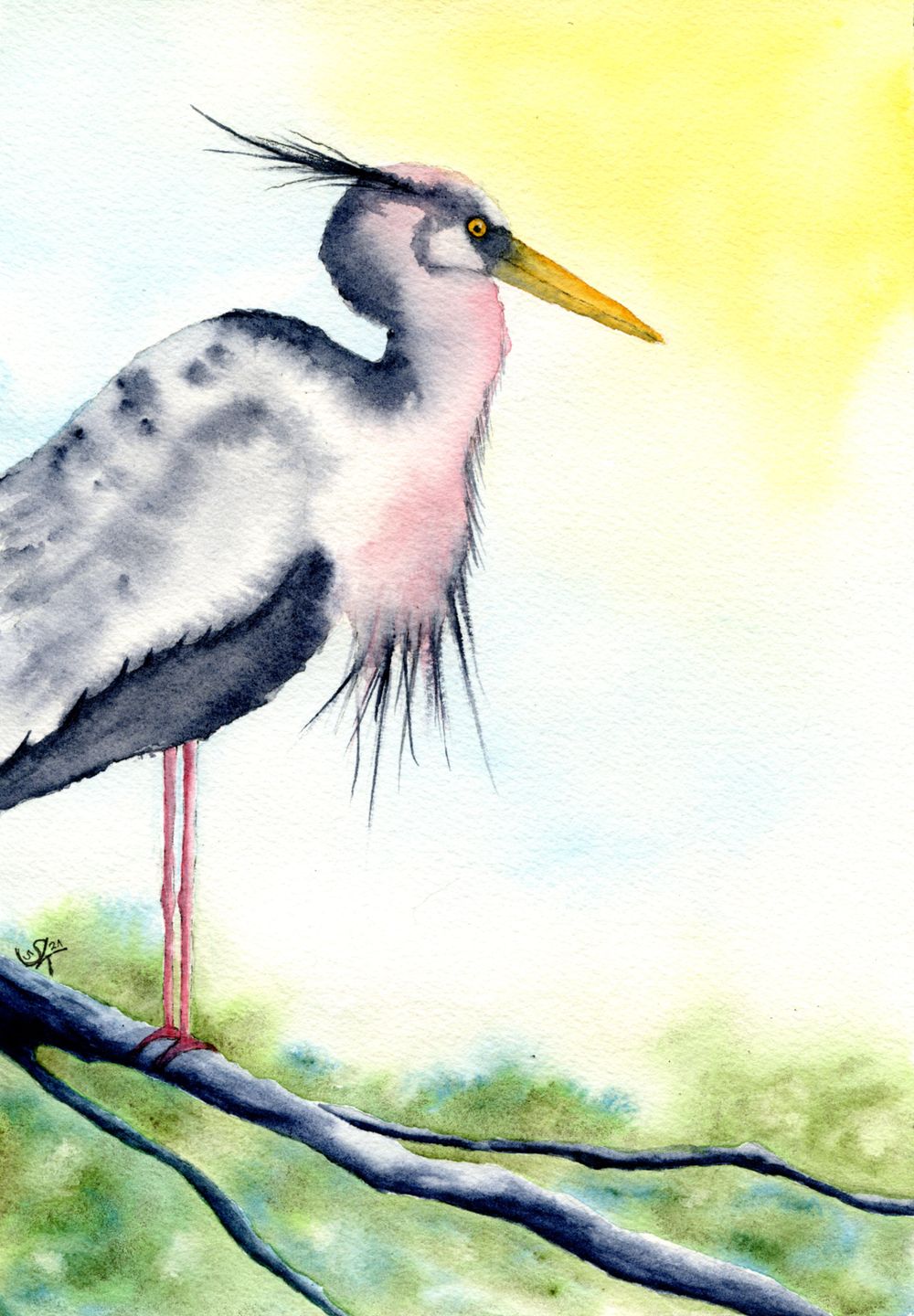Heron - image 1 - student project