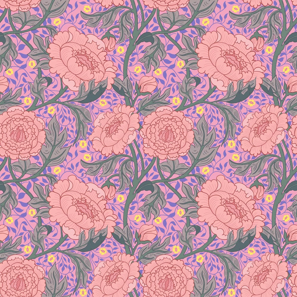 Rose of Jerico - image 2 - student project