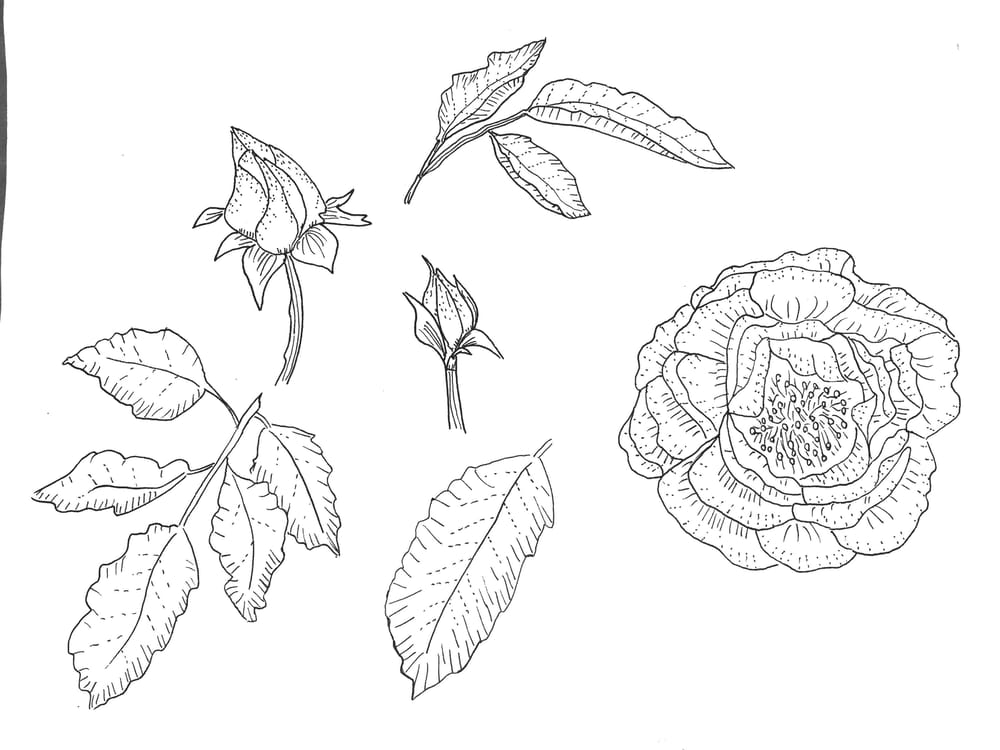 In Bloom Placement Print & Mock Up - image 2 - student project