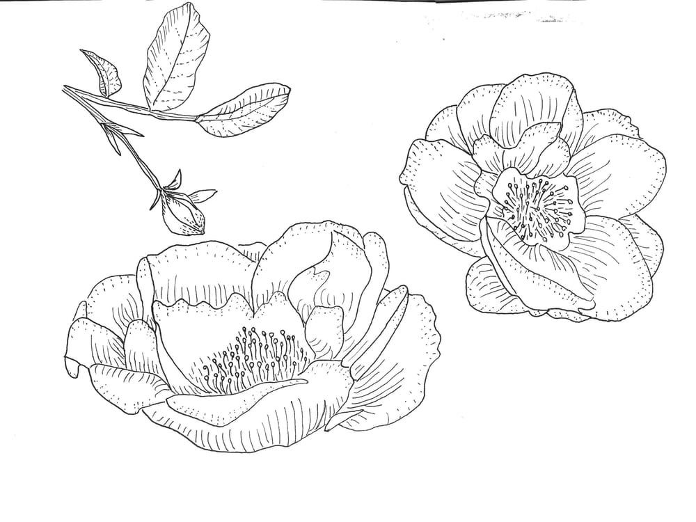 In Bloom Placement Print & Mock Up - image 1 - student project