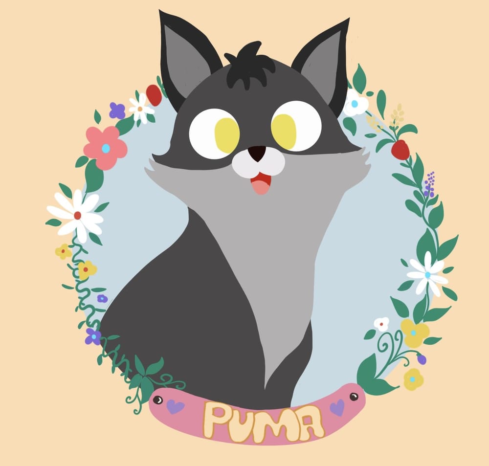 Create a cute pet class projects and steps - image 3 - student project