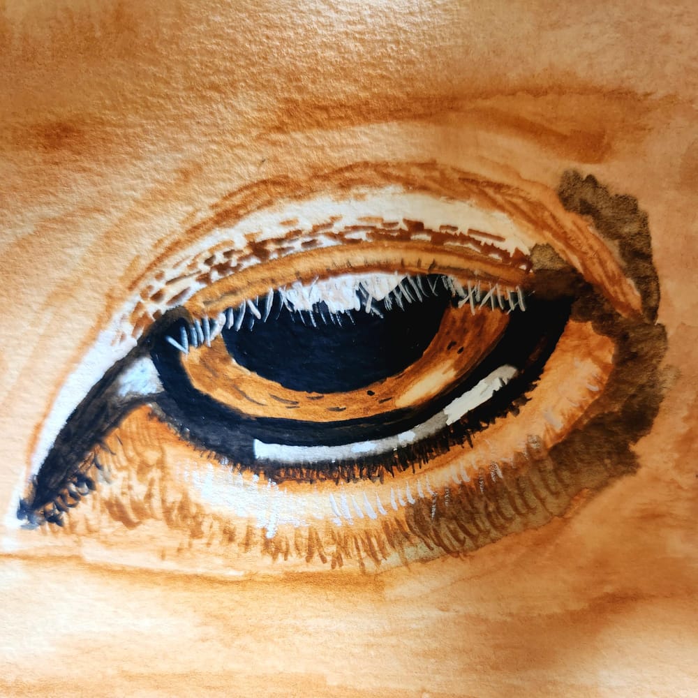 Deer, tiger, parrot - image 1 - student project
