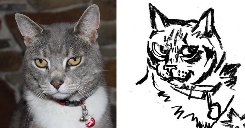 True Grit, Kitty - image 5 - student project