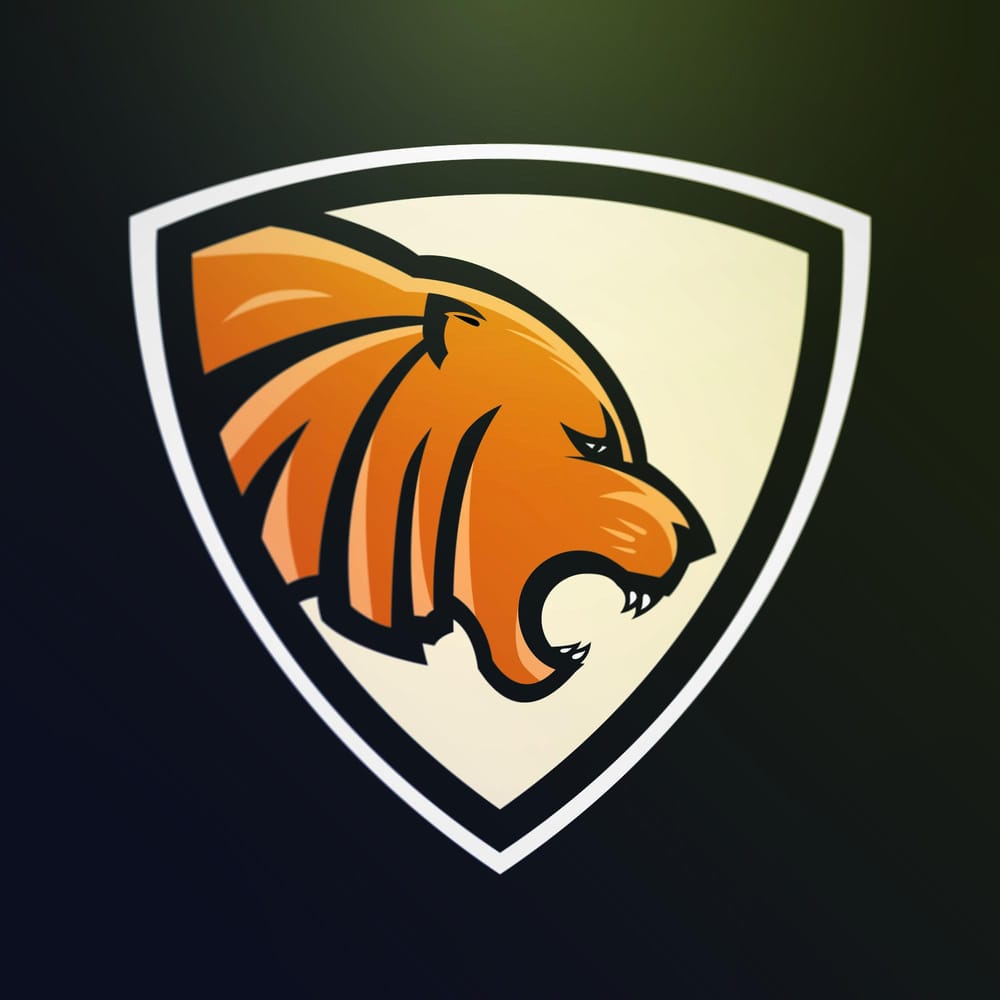 Tiger Practice - image 1 - student project