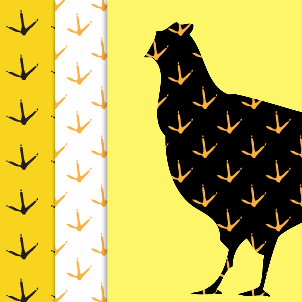 Chicken Scratch Skillshare Student Project