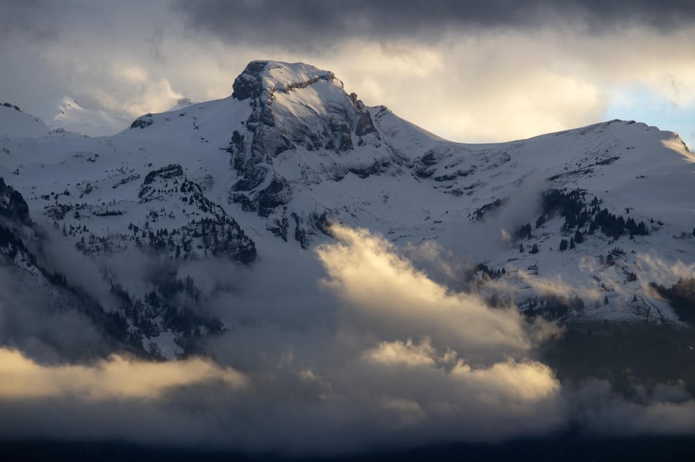 First Images with DSLR - image 3 - student project