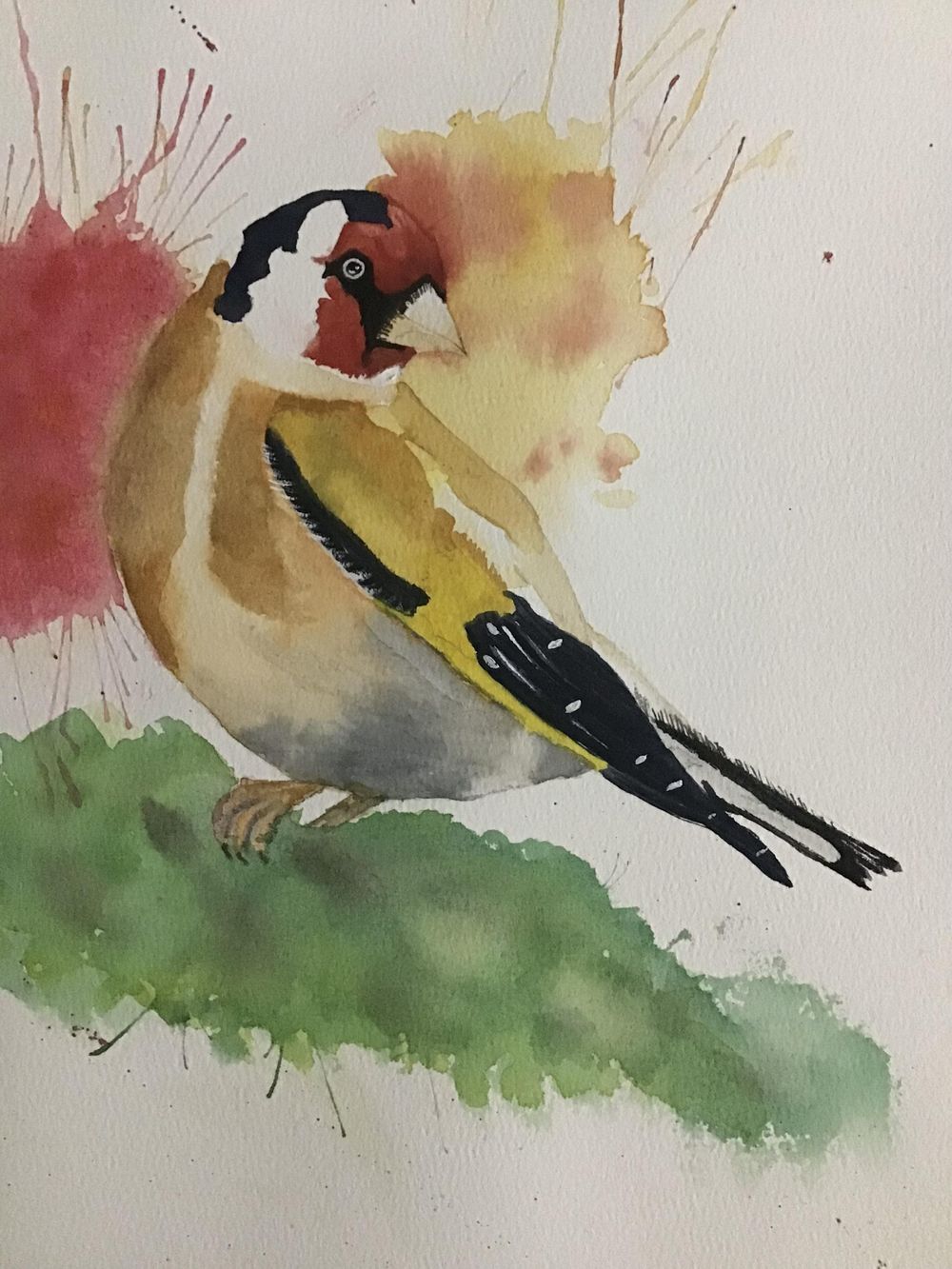 Goldfinch - image 2 - student project