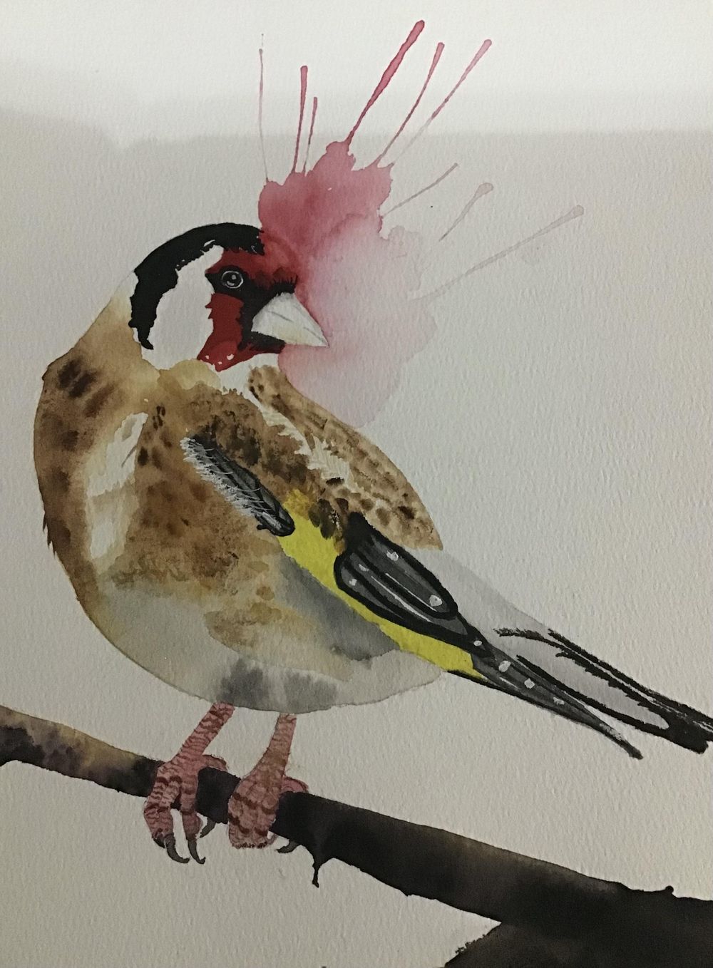 Goldfinch - image 1 - student project