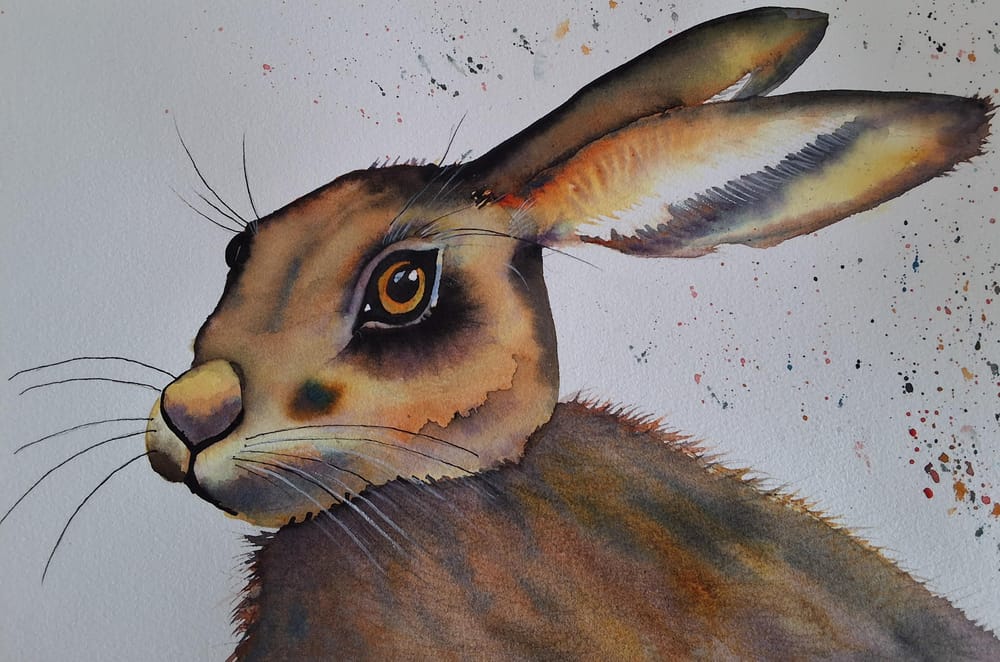 Hoppity hare - image 2 - student project