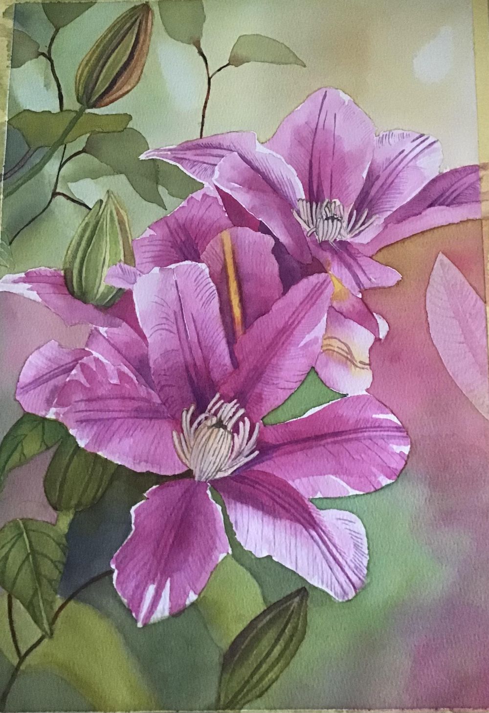Clematis - image 1 - student project