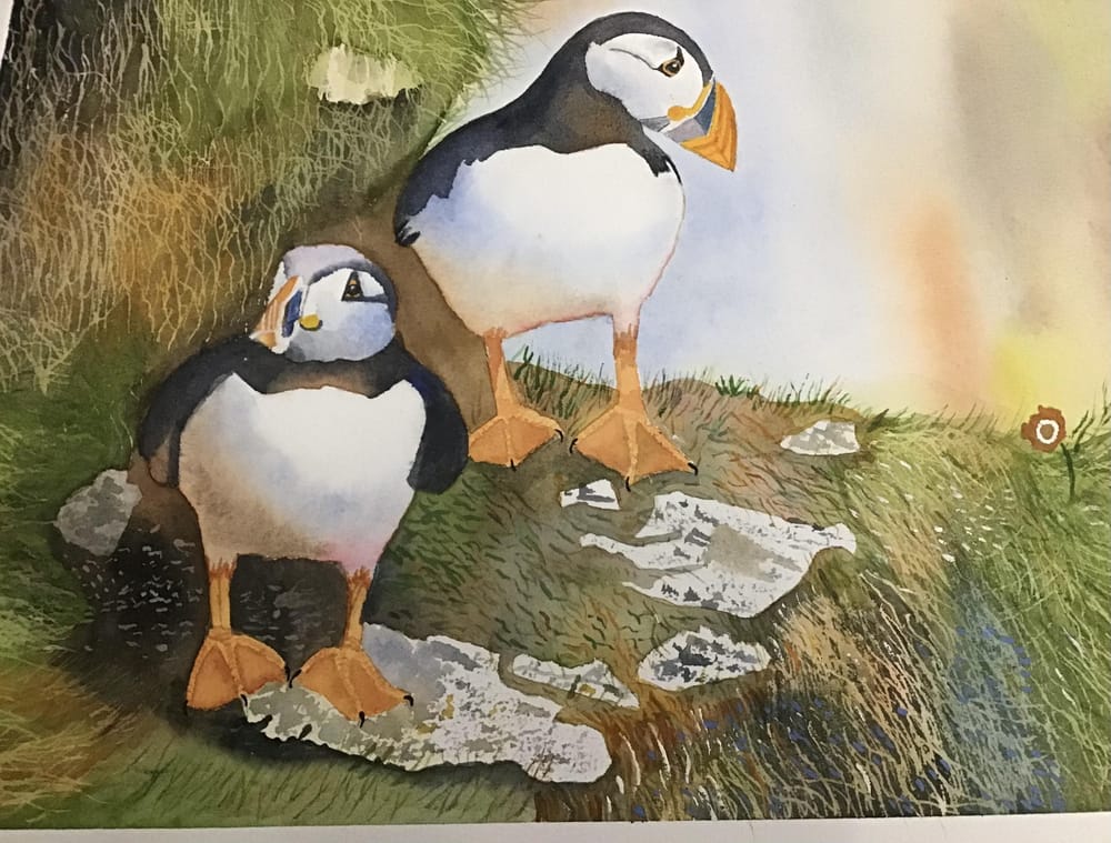 Puffins - image 1 - student project