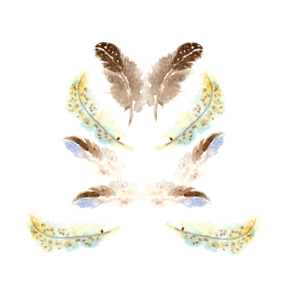 feathers everywhere - image 2 - student project