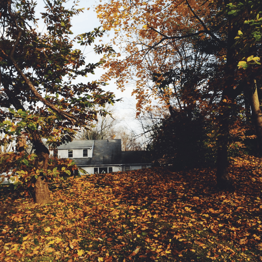 Backyard in Connecticut - image 3 - student project
