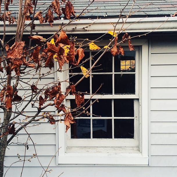 Backyard in Connecticut - image 4 - student project